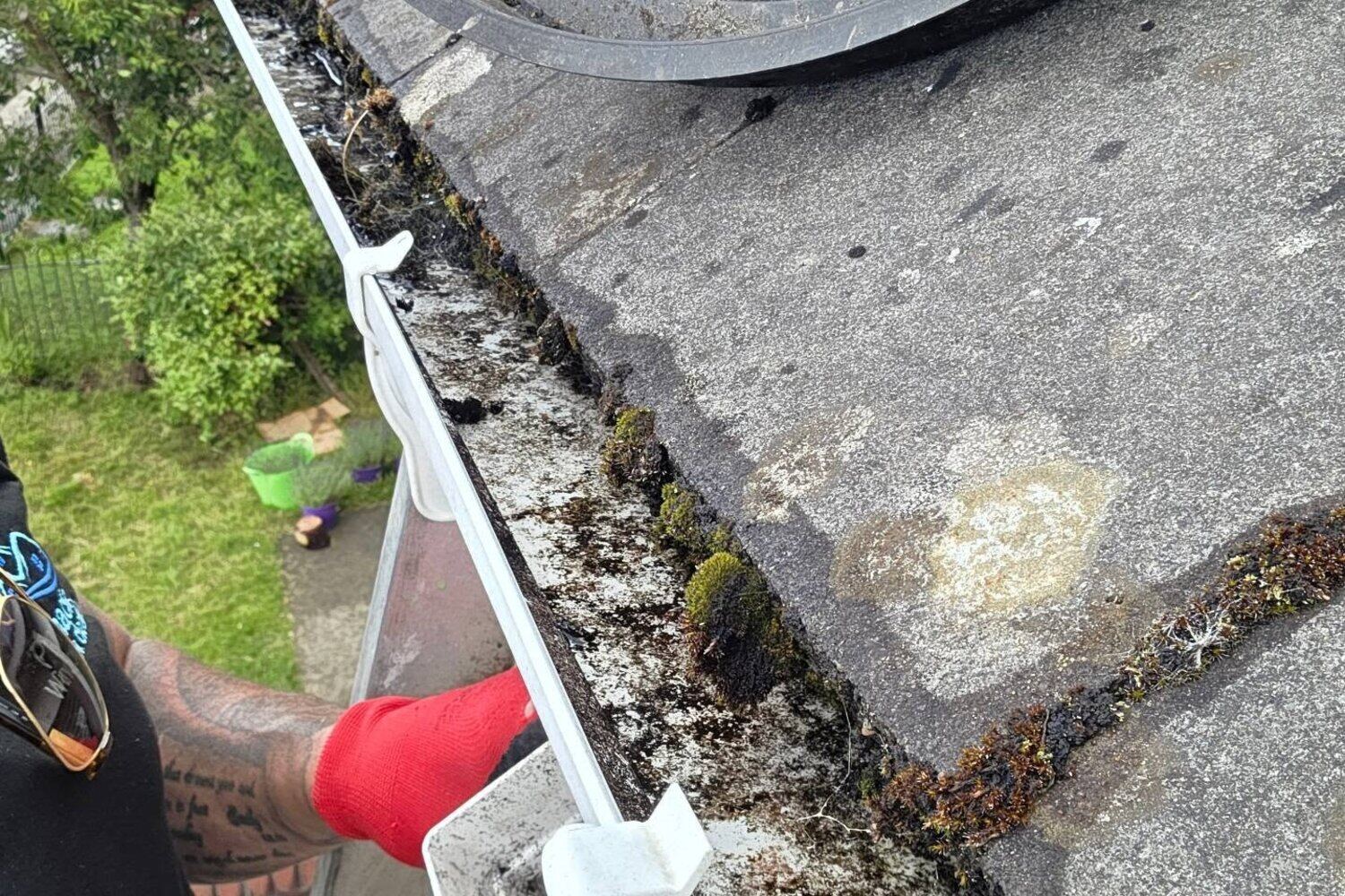 Gutter Cleaning detail