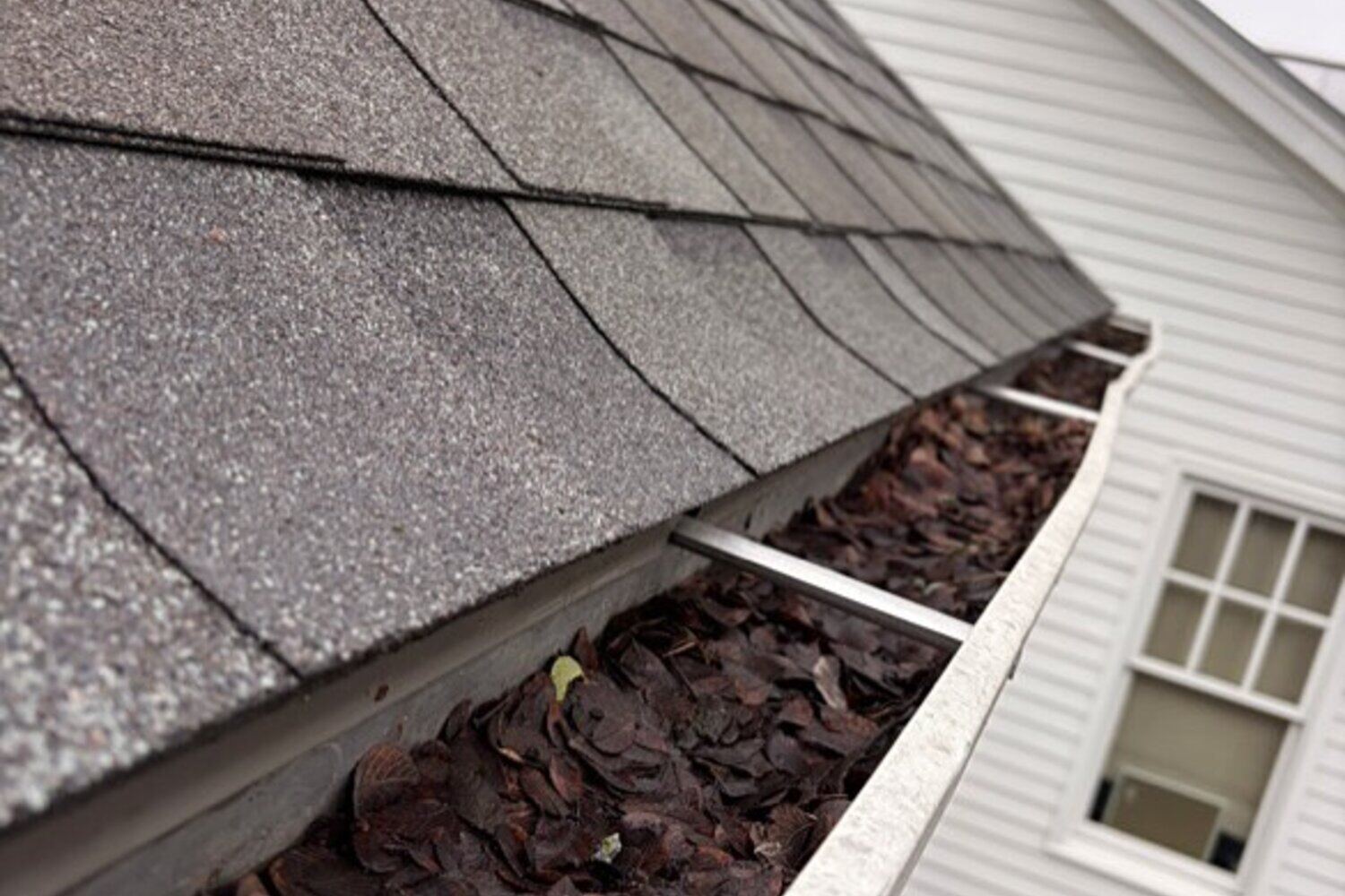 How Often Should You Clean Gutters in Salem, Oregon?