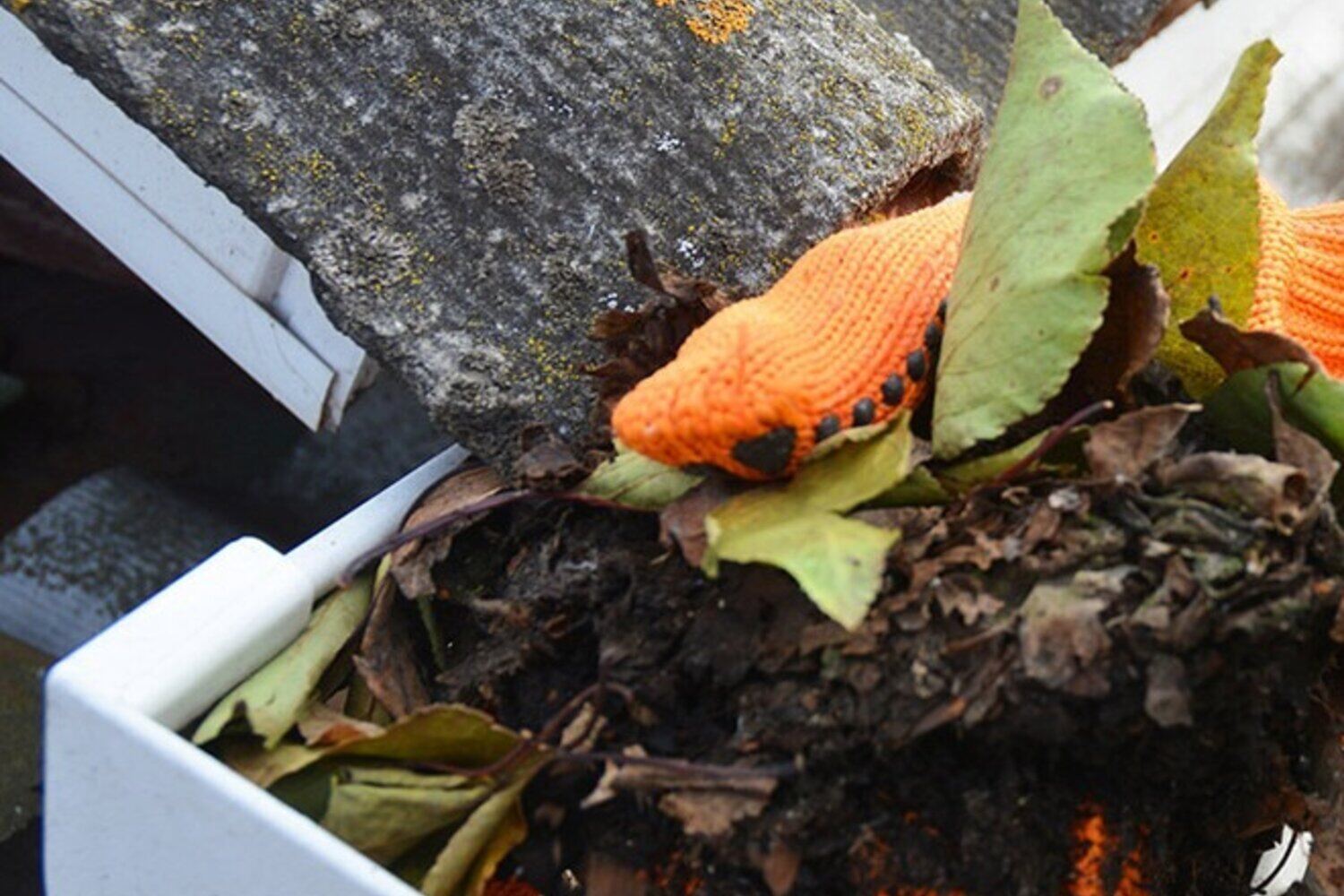 Gutter Inspection & Report detail